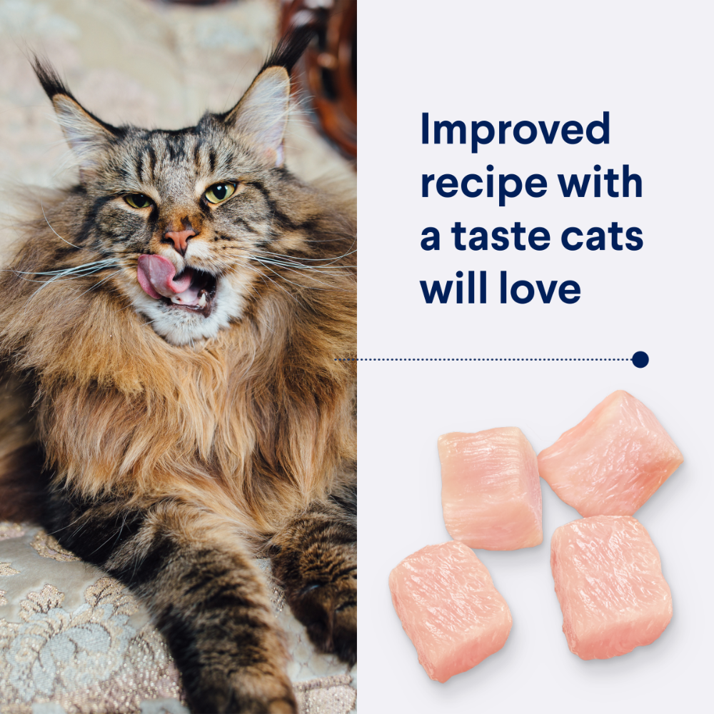 Adult Healthy Ageing Chicken Dry Cat Food