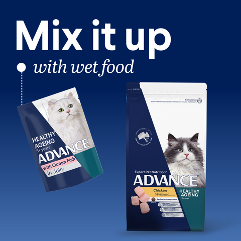 Adult Healthy Ageing Chicken Dry Cat Food