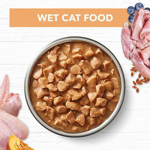 Ivory Coat Grain Free Chicken Gravy Kitten Pouch 85g x 48