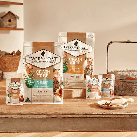 Ivory Coat Grain Free Chicken Gravy Kitten Pouch 85g x 48