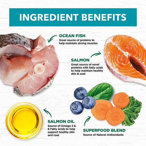 Ivory Coat Oceanfish & Salmon Cat Food