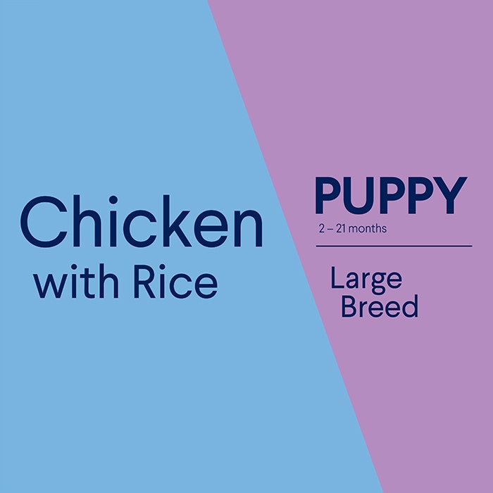 ADVANCE Puppy Large Breed Dry Dog Food Chicken with Rice
