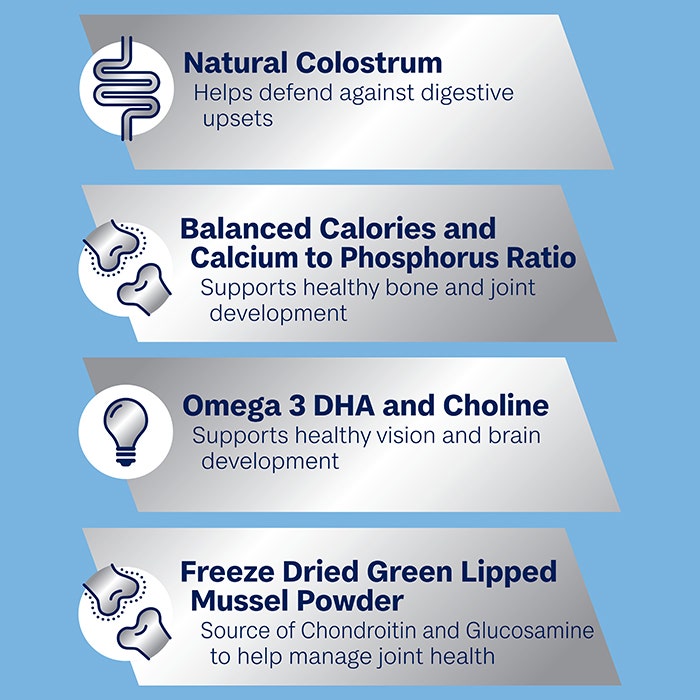 ADVANCE Puppy Large Breed Dry Dog Food Chicken with Rice