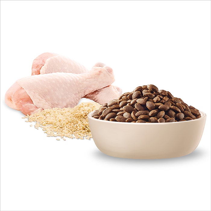 ADVANCE Puppy Large Breed Dry Dog Food Chicken with Rice