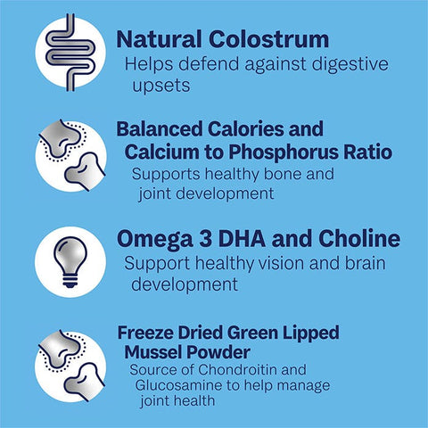 ADVANCE Puppy Large Breed Dry Dog Food Chicken with Rice