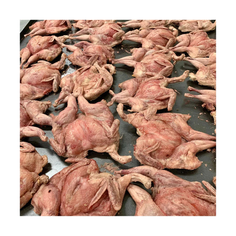 Freezy Paws Freeze Dried Whole Quail Pet Treats for Dogs & Cats
