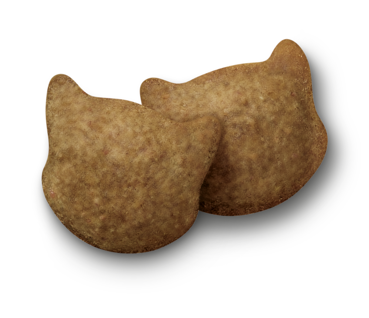 Salmon And Tuna With Catnip Cat Treats