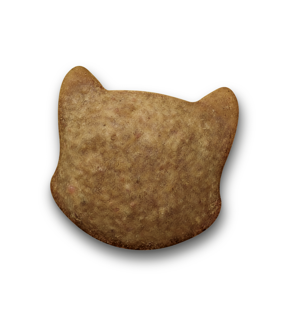 Salmon And Tuna With Catnip Cat Treats