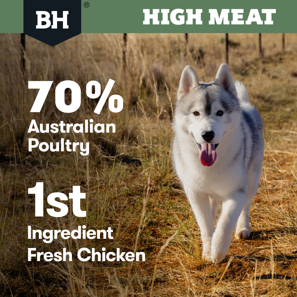 High Meat Australian Poultry Adult Dry Dog Food