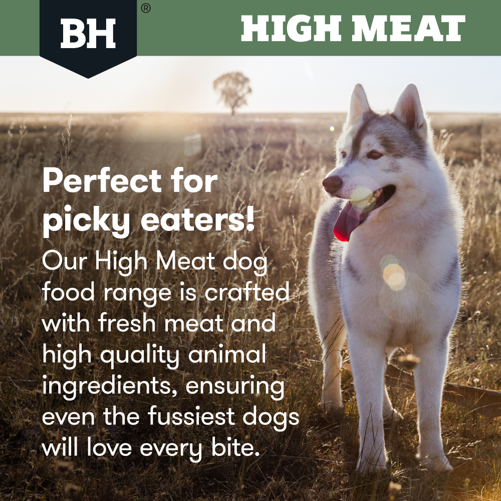High Meat Australian Poultry Adult Dry Dog Food