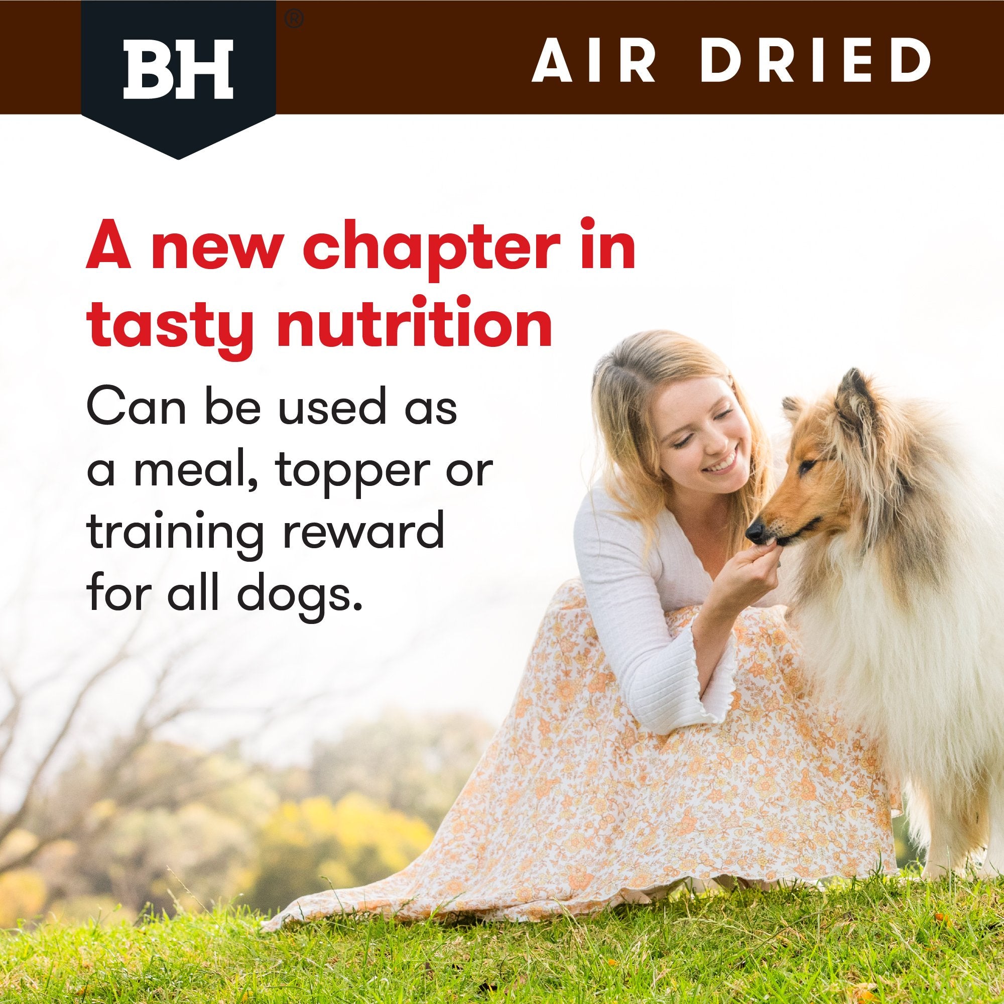 Air Dried Beef & Mackerel Adult Dog Food