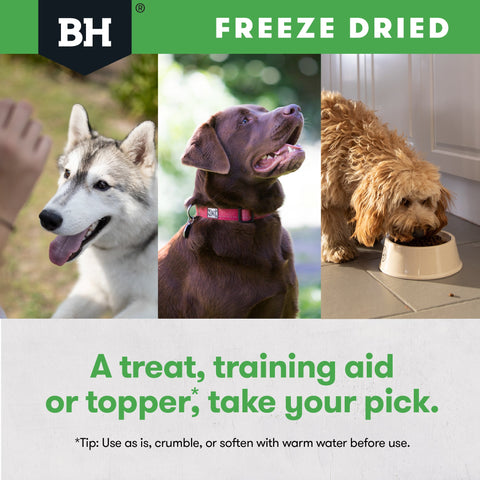 Freeze Dried Chicken Breast Dog Treats