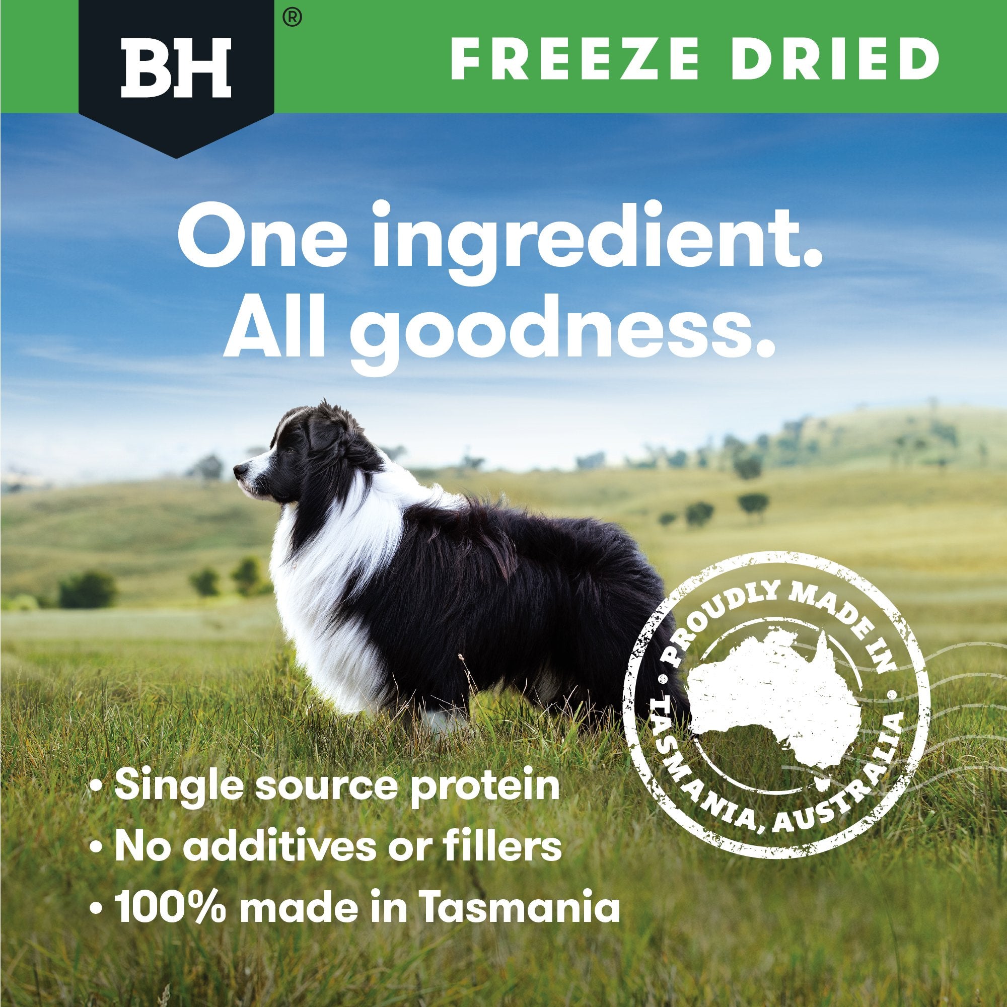 Freeze Dried Chicken Breast Dog Treats