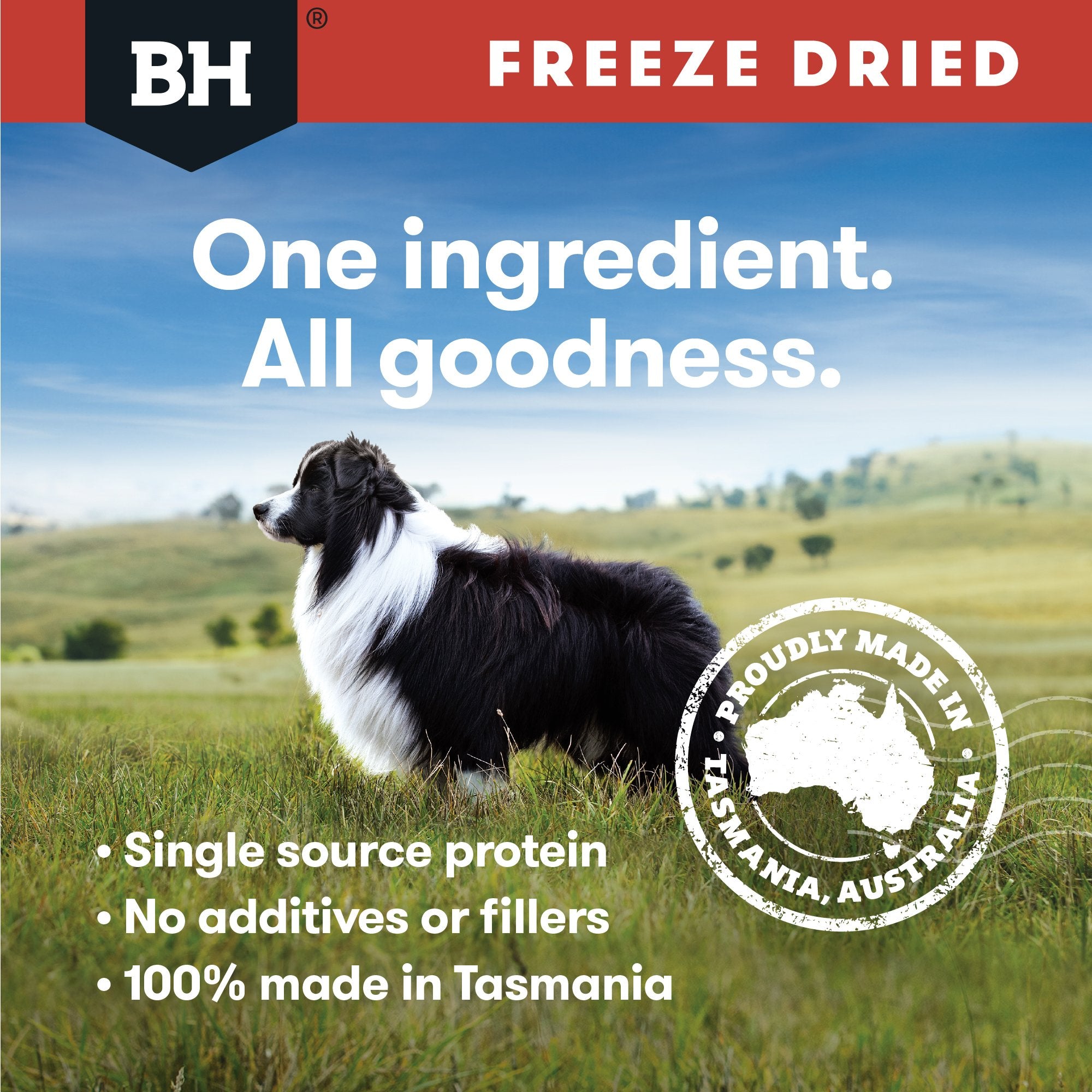 Freeze Dried Kangaroo Dog Treats