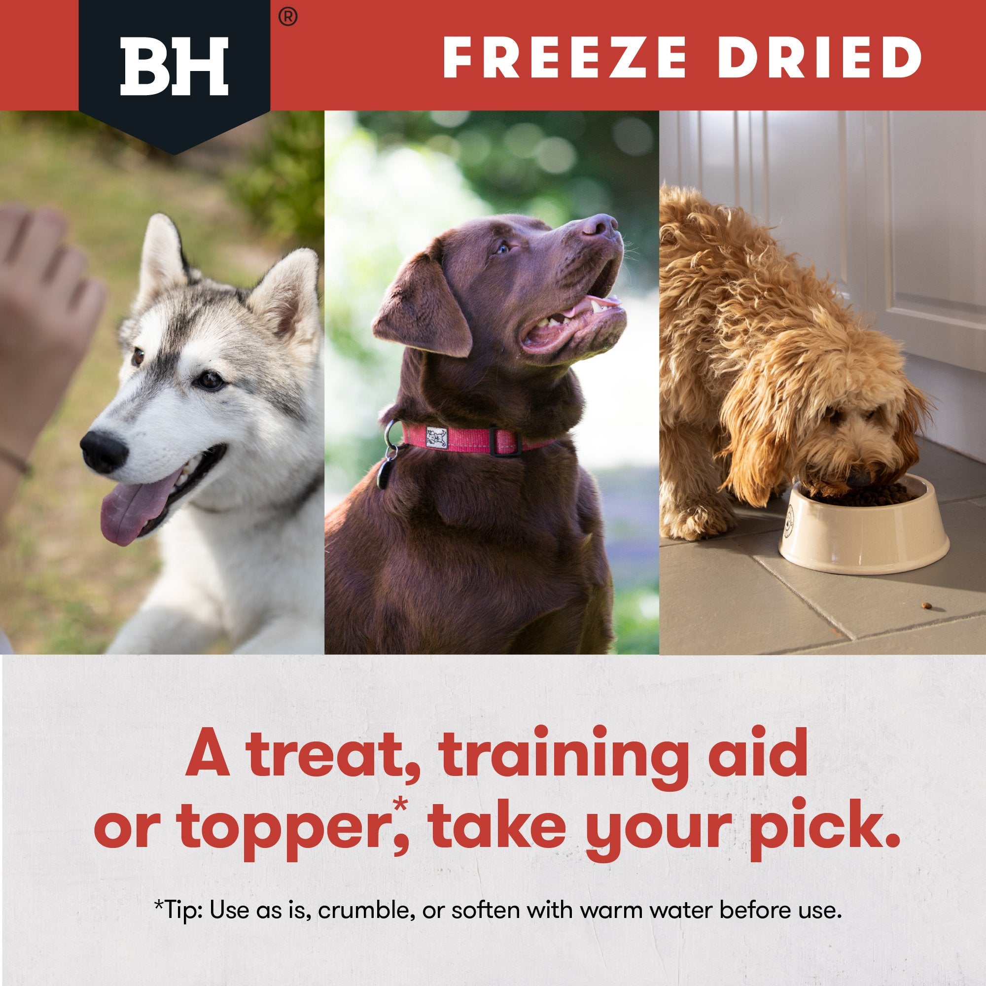 Freeze Dried Kangaroo Dog Treats