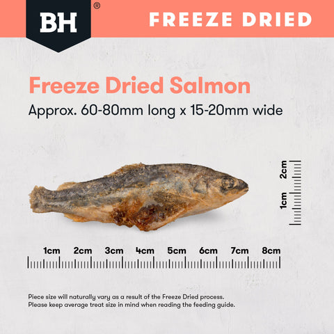 Freeze Dried Whole Salmon Dog Treats
