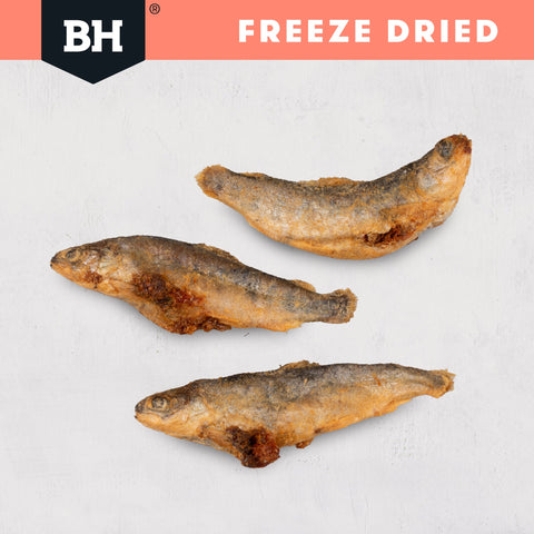 Freeze Dried Whole Salmon Dog Treats