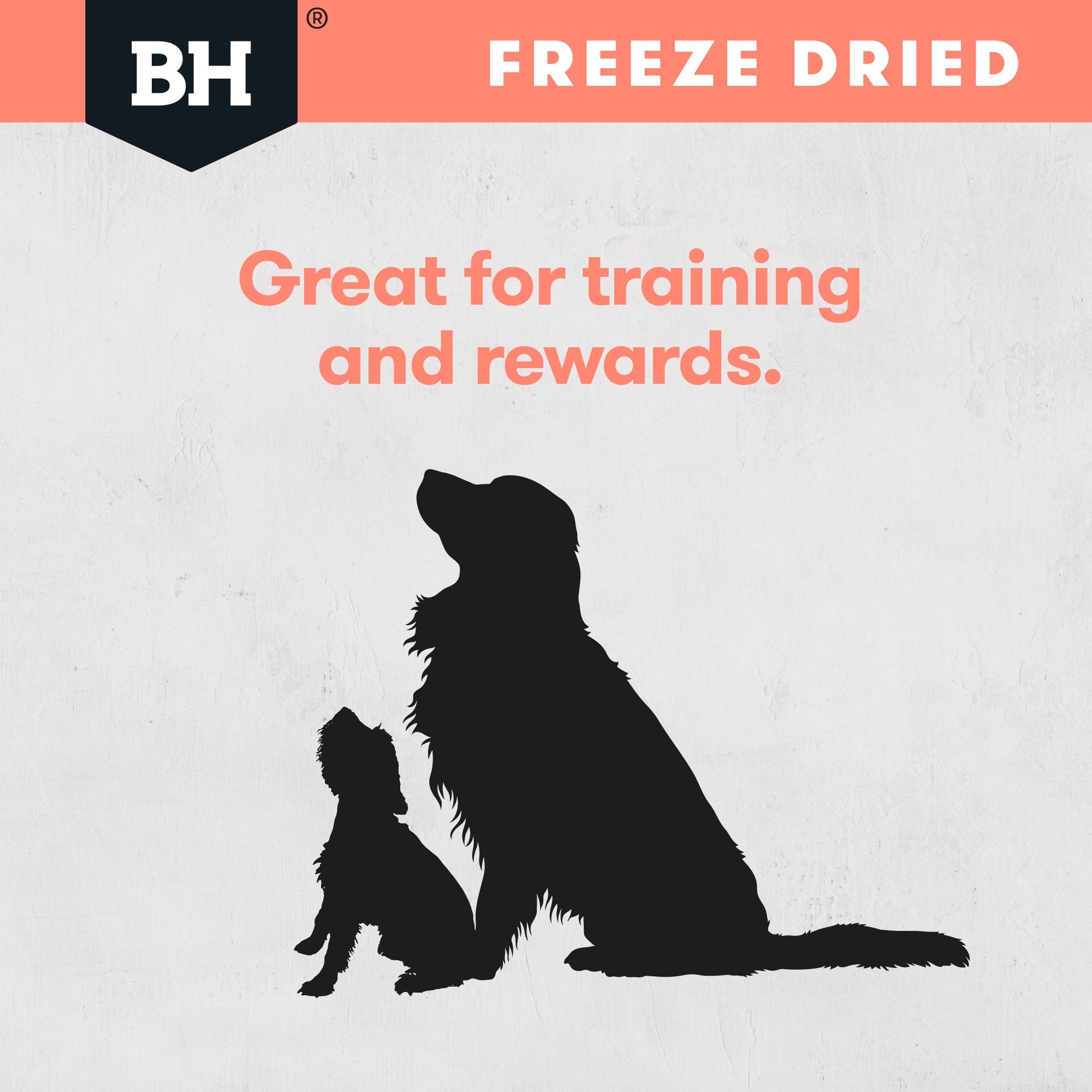 Freeze Dried Whole Salmon Dog Treats