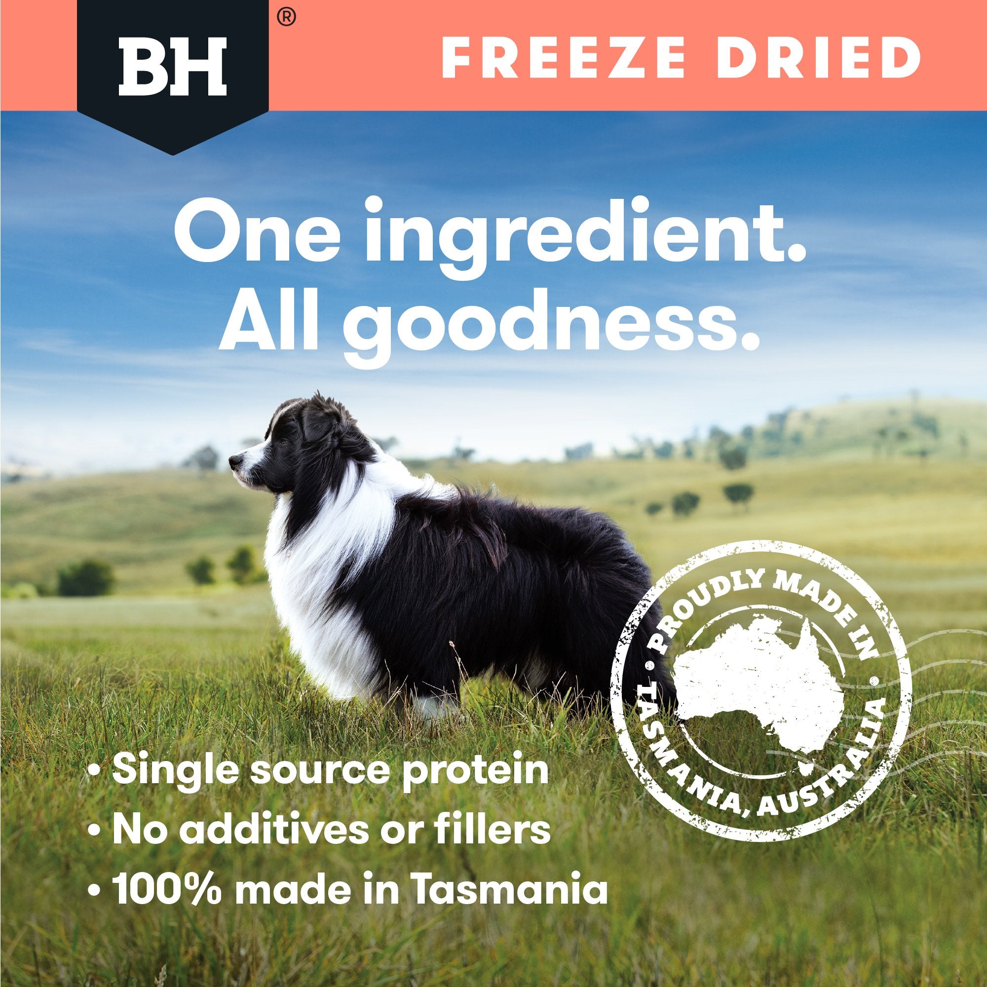 Freeze Dried Whole Salmon Dog Treats