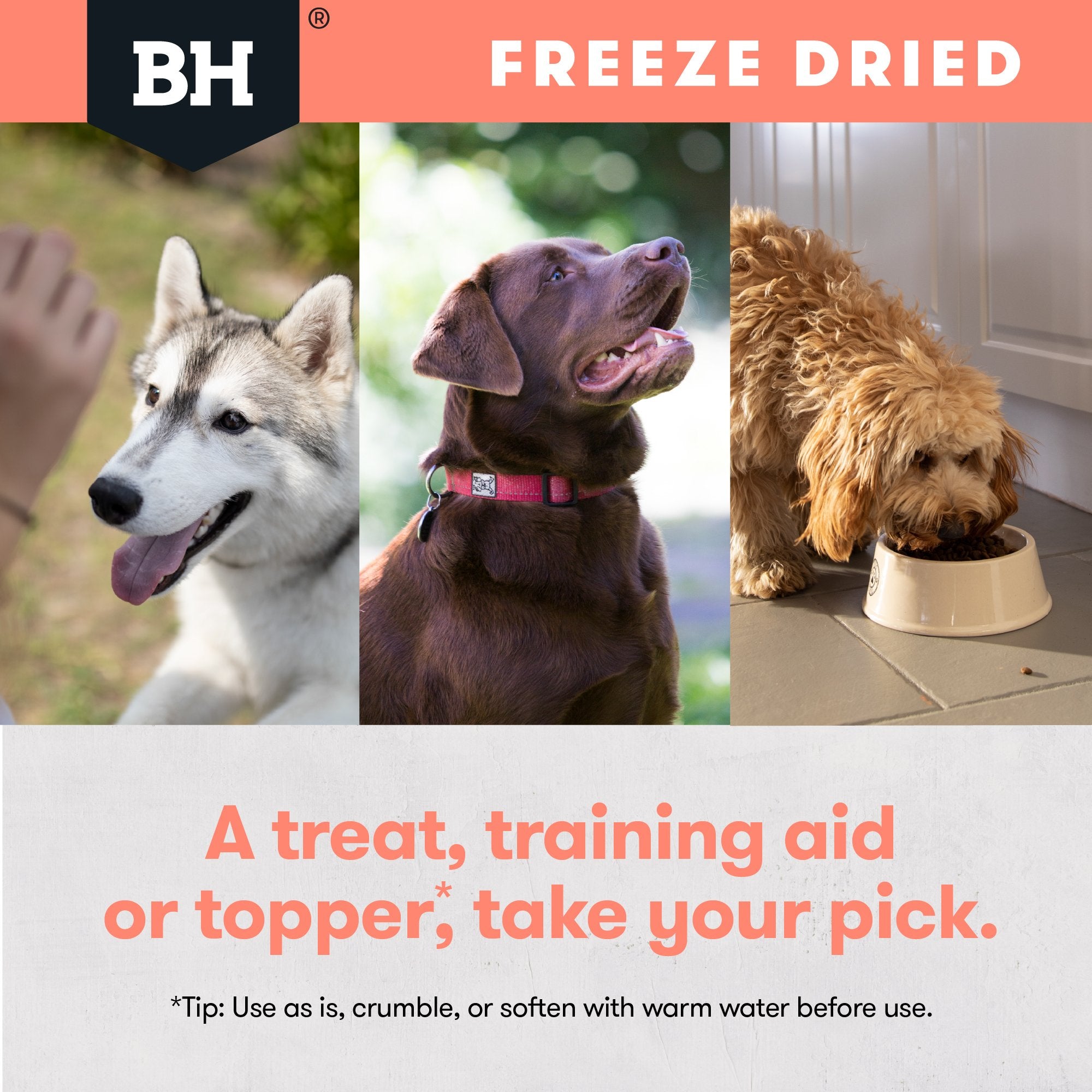 Freeze Dried Whole Salmon Dog Treats