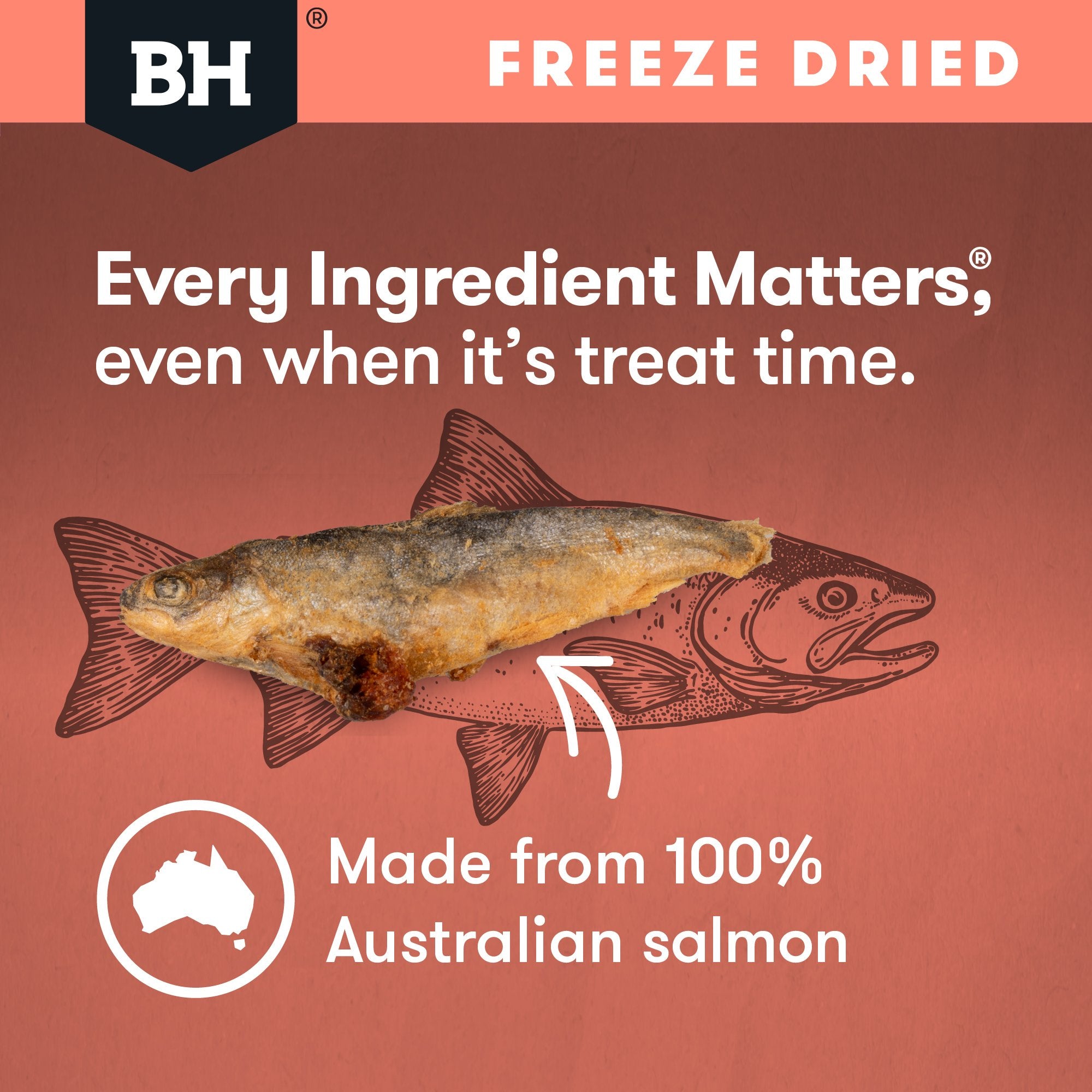 Freeze Dried Whole Salmon Dog Treats