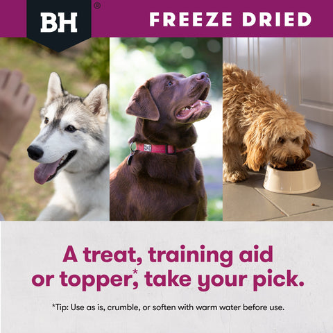 Freeze Dried Lamb Dog Treats