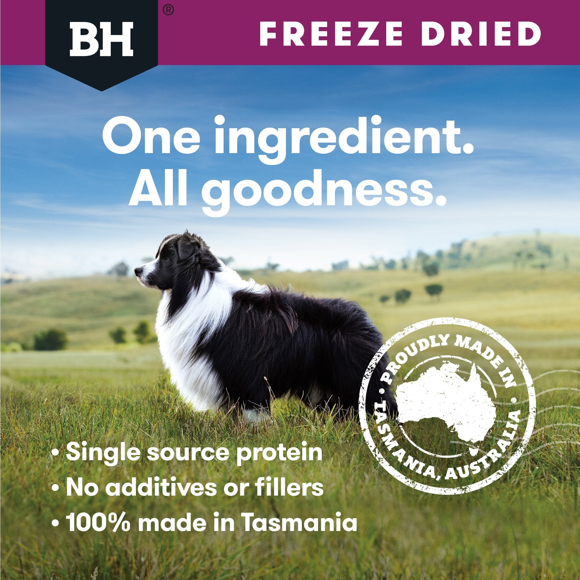 Freeze Dried Lamb Dog Treats