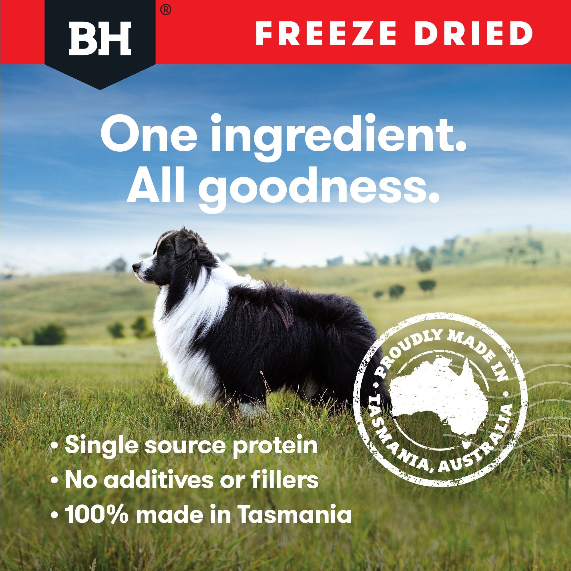Freeze Dried Beef Liver Dog Treats