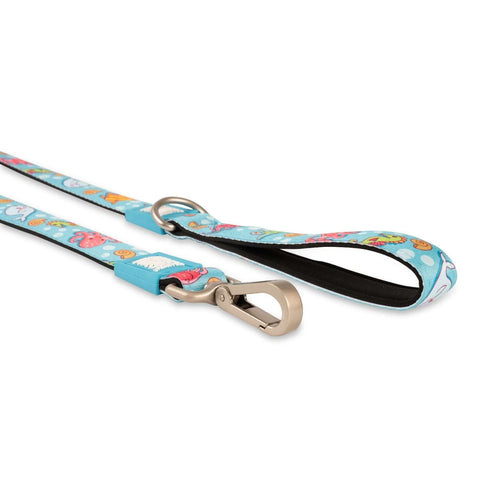 Max & Molly Dog Leash