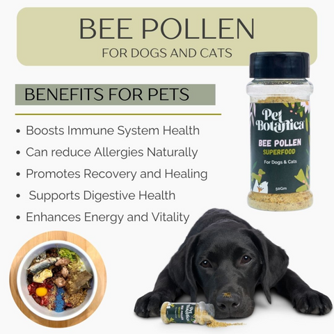 Bee Pollen Superfood Meal Booster For Dogs & Cats