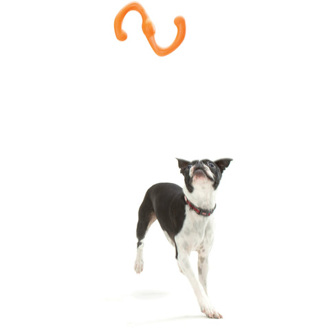 West Paw Bumi Tug & Fetch Zogoflex Dog Toys
