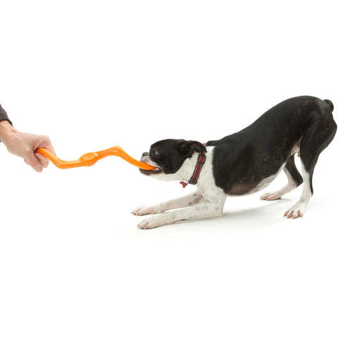 West Paw Bumi Tug & Fetch Zogoflex Dog Toys