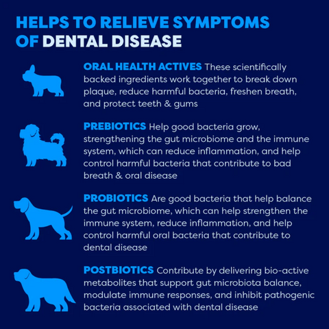 Tribiotics Dental Topper Spray For Dogs Lamb