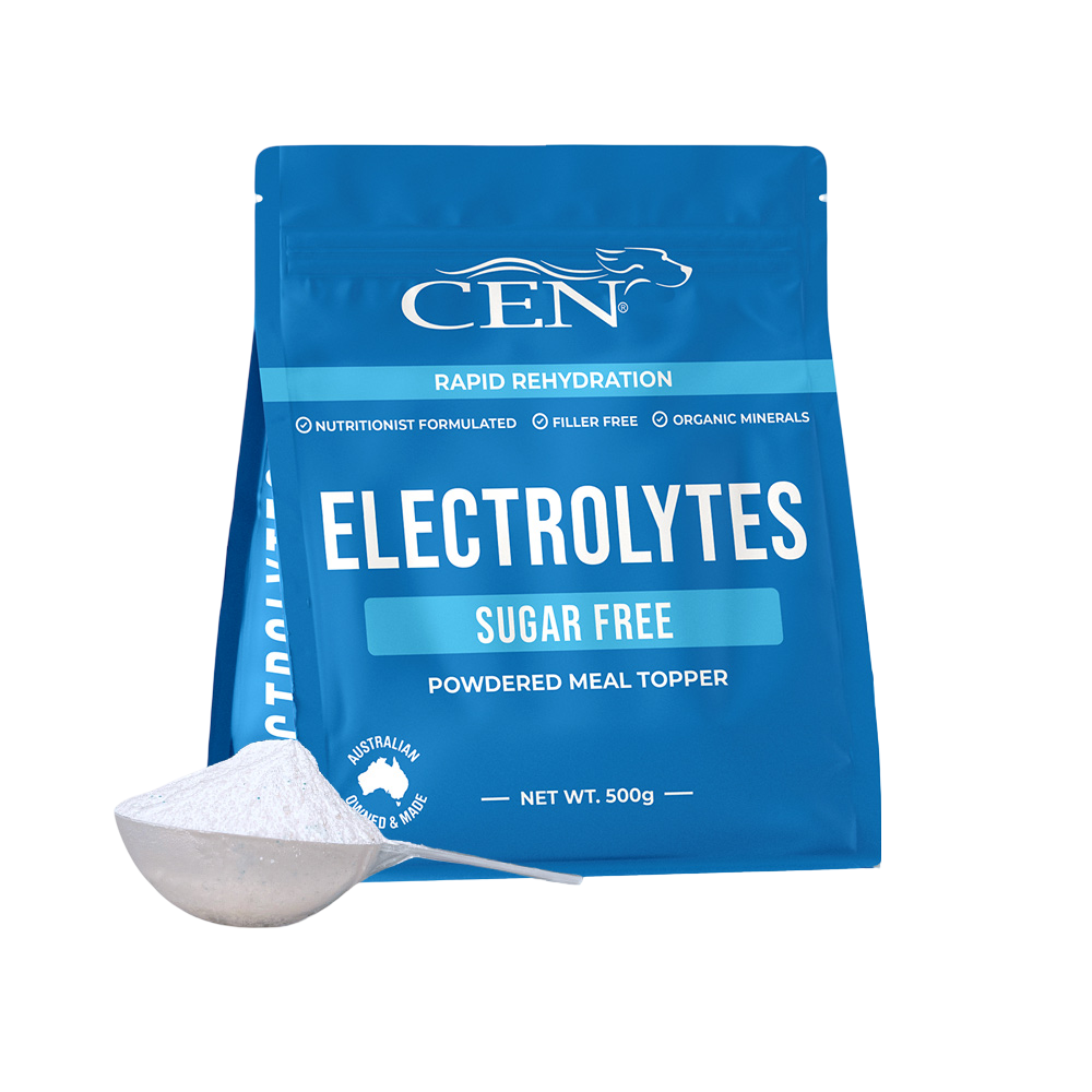 Electrolytes For Dogs