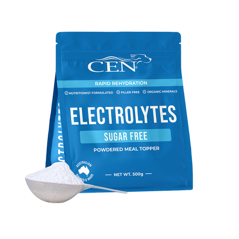 Electrolytes For Dogs