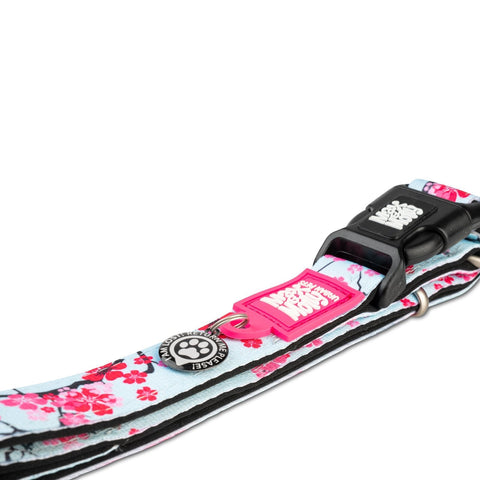 Max & Molly Smart ID Dog Collar