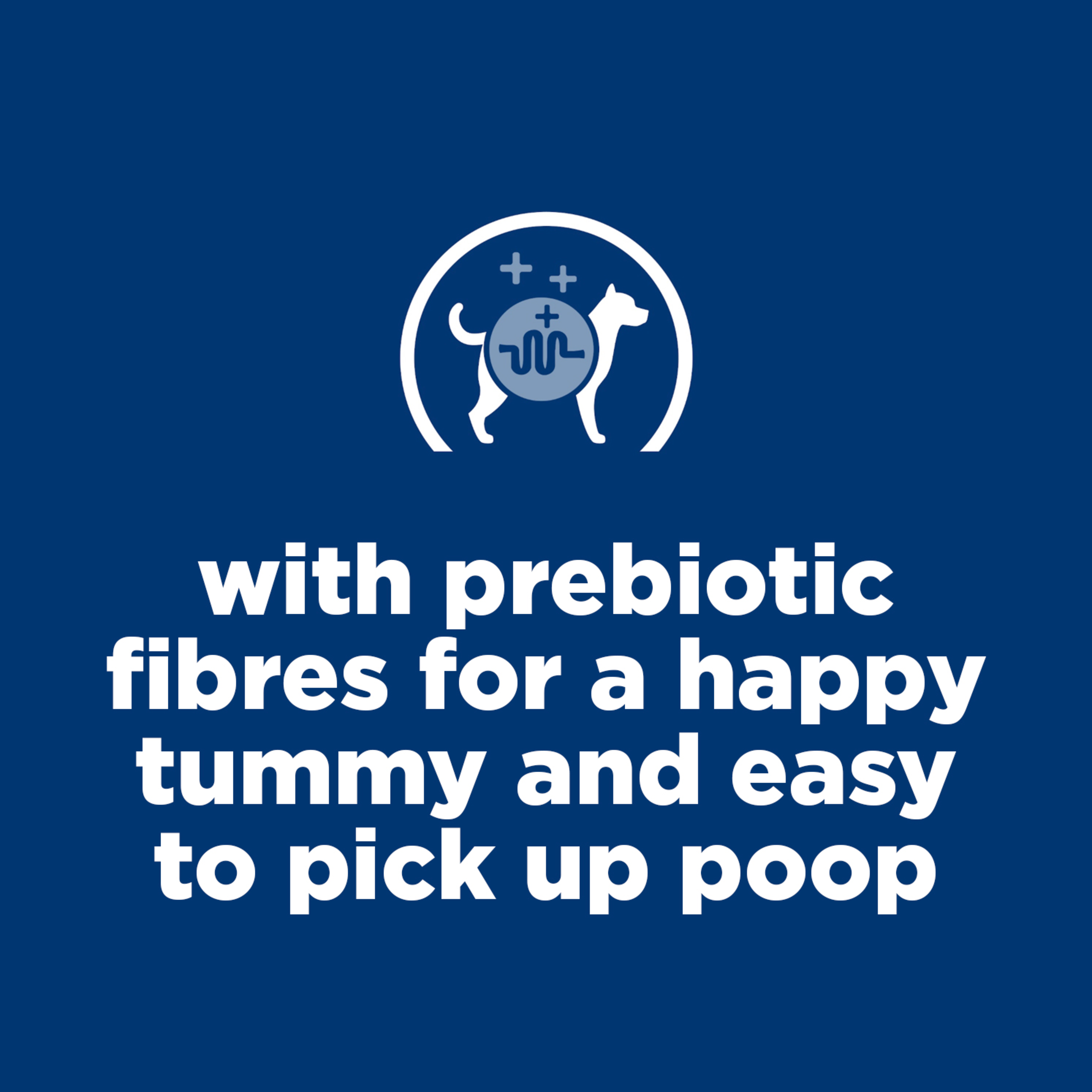 Chicken Small Bites Puppy Dry Dog Food