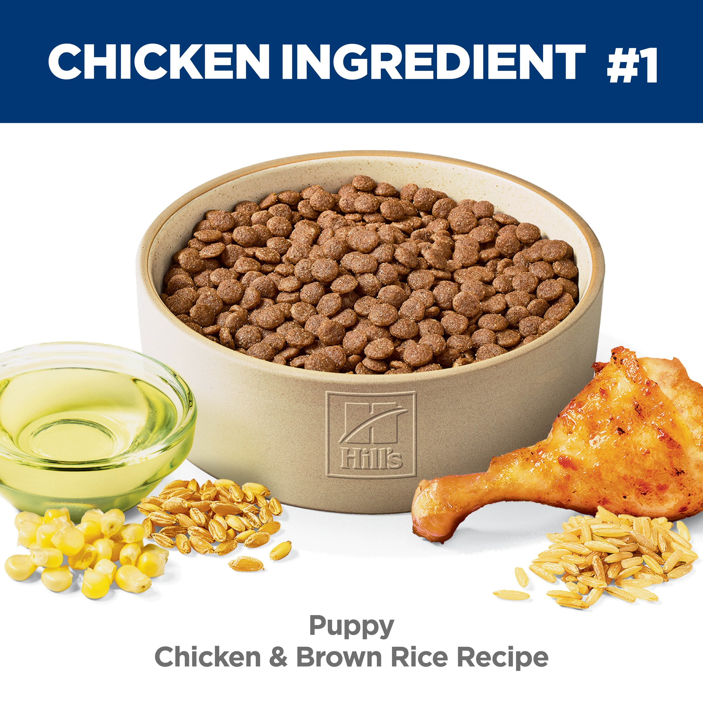 Chicken & Brown Rice Puppy Dry Dog Food