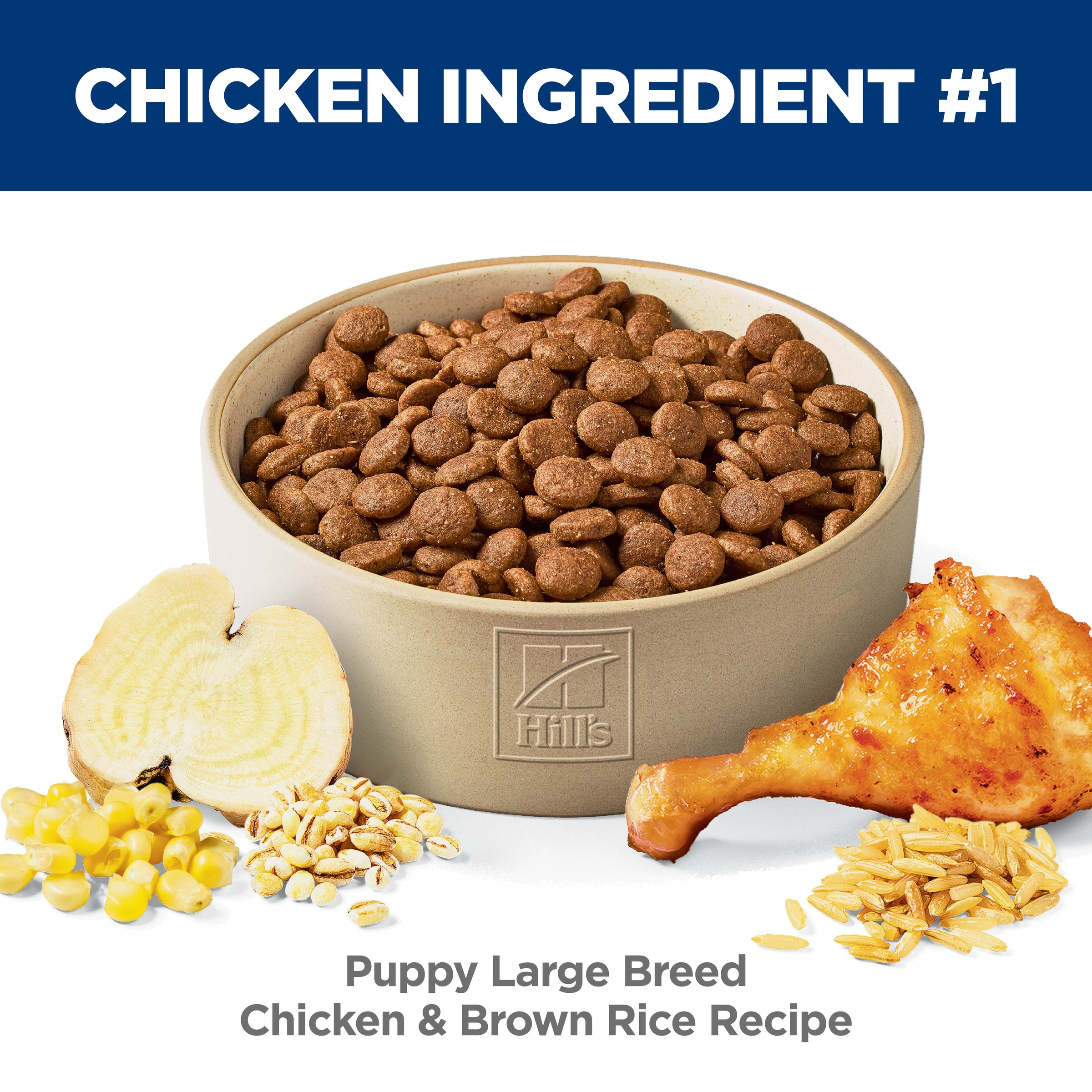 Chicken & Brown Rice Large Breed Puppy Dry Dog Food