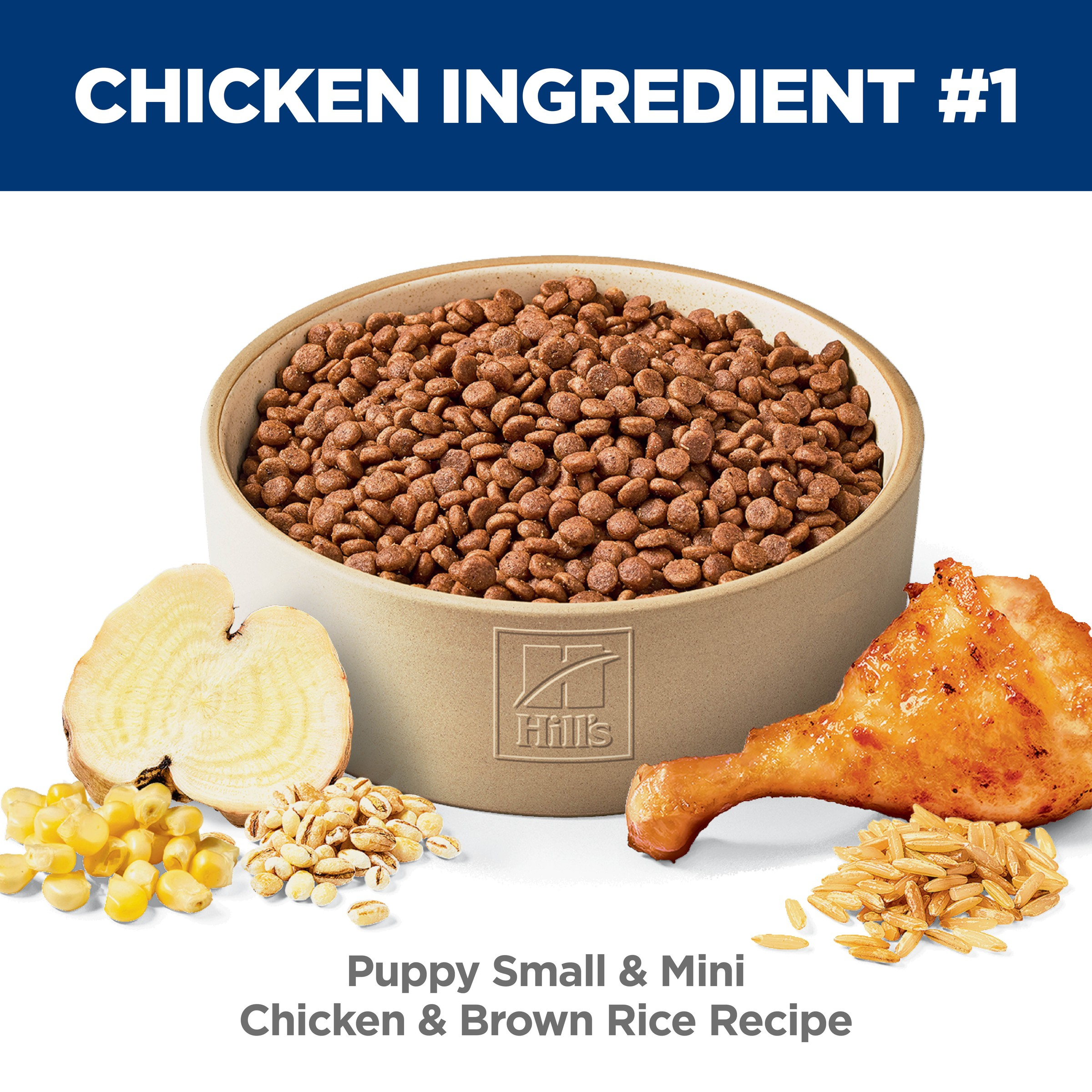 Chicken Small & Mini Puppy Dry Dog Food