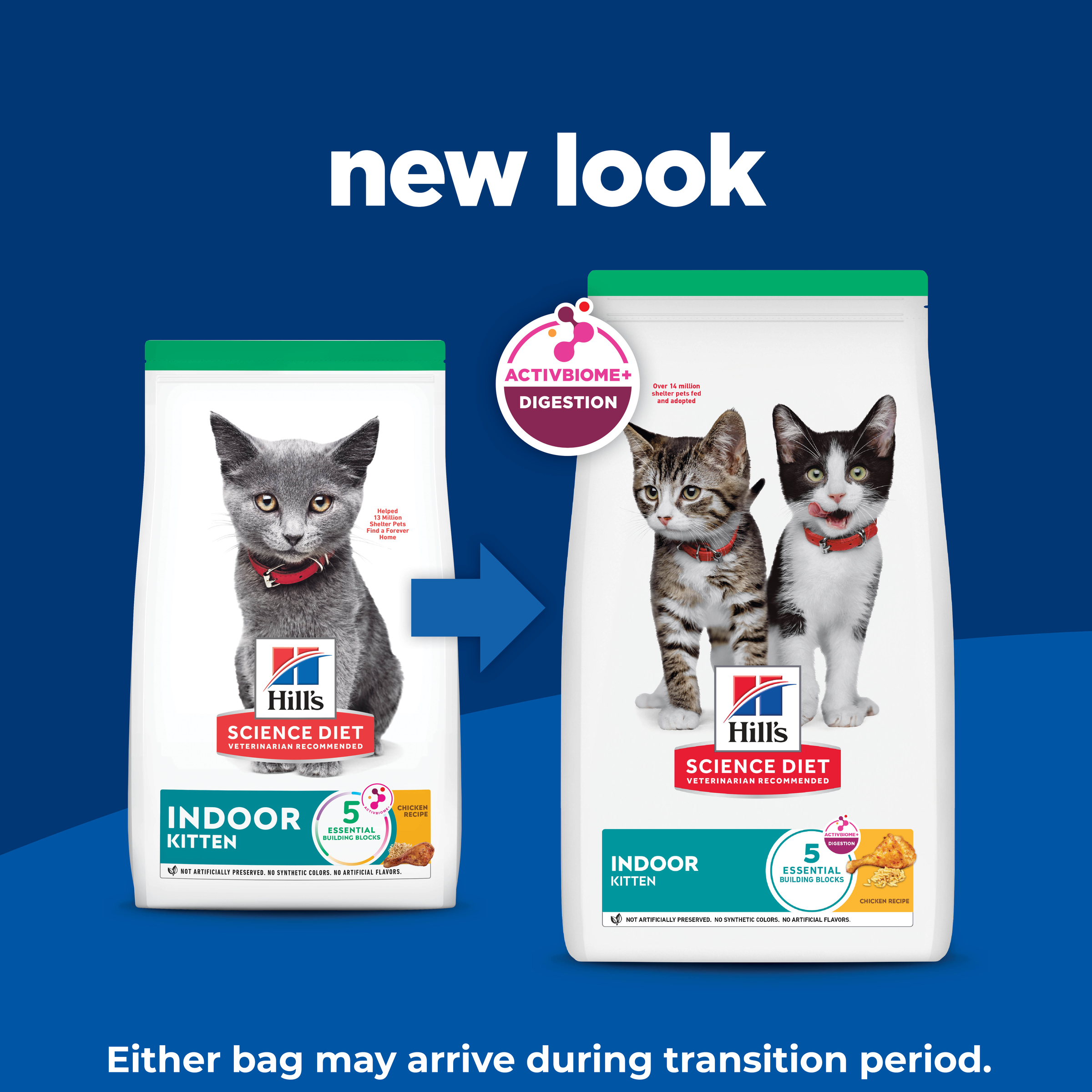 Kitten Indoor Dry Cat Food