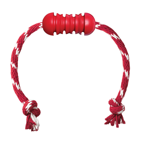 KONG Dog Toys Dental with Rope