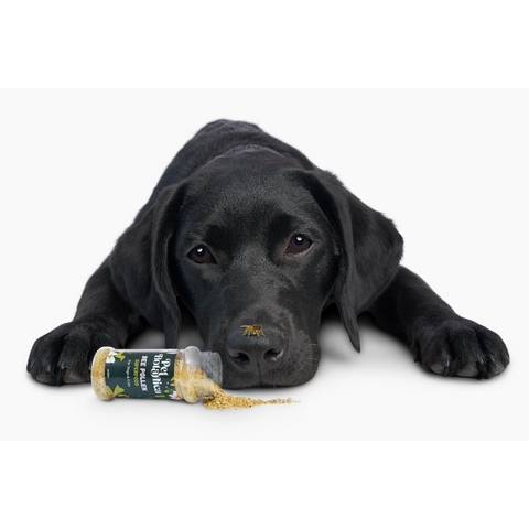 Bee Pollen Superfood Meal Booster For Dogs & Cats