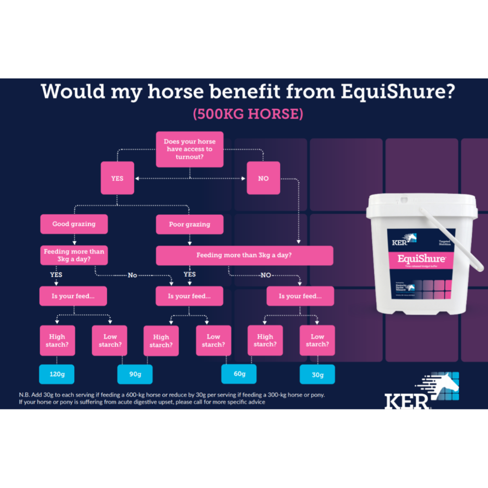 Targeted Nutrition Equishure Hindgut Balancer for Horses