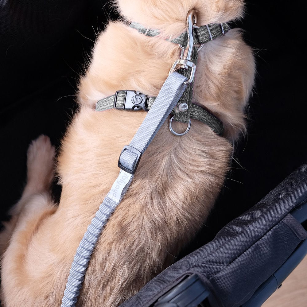 Ibiyaya No Shock Multifunctional Strong Bunge Dog Leash Extention 04