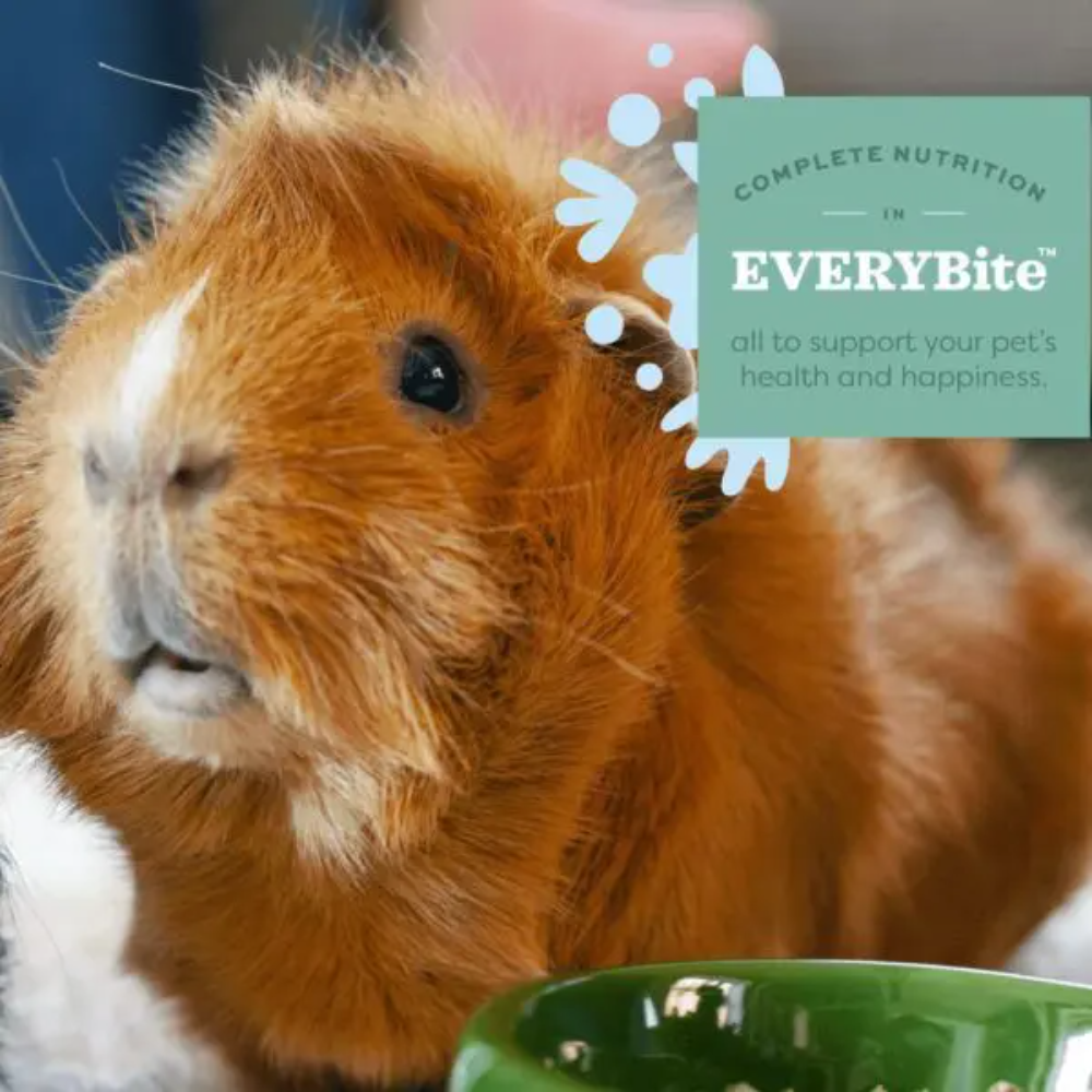 Essentials Young Guinea Pig Food With Alfalfa Hay – petsome