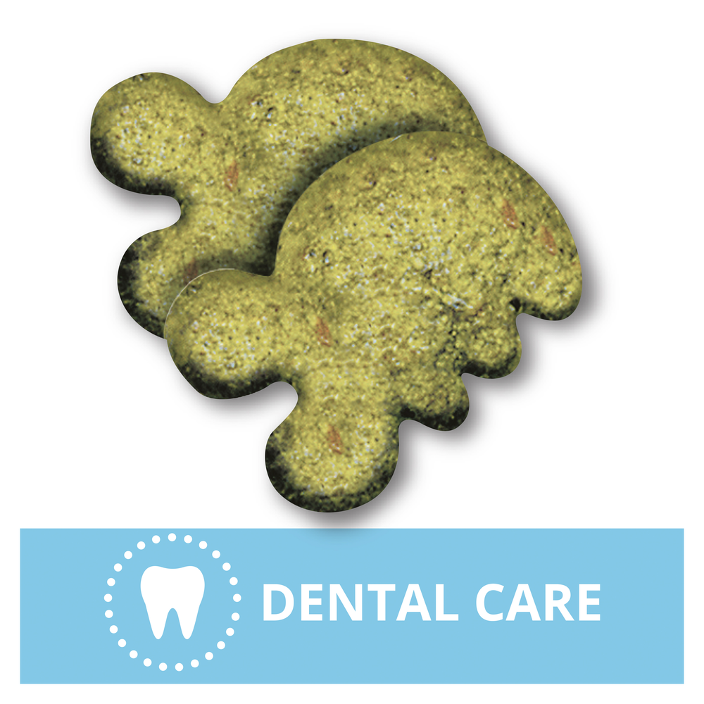 Feline Treats Dental Oven Roasted Chicken Flavour Tub