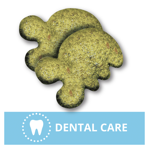 Feline Treats Dental Oven Roasted Chicken Flavour Tub