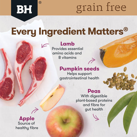 Black Hawk Dry Dog Food Grain Free Adult Australian Lamb