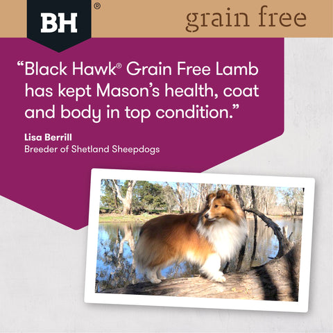Black Hawk Dry Dog Food Grain Free Adult Australian Lamb
